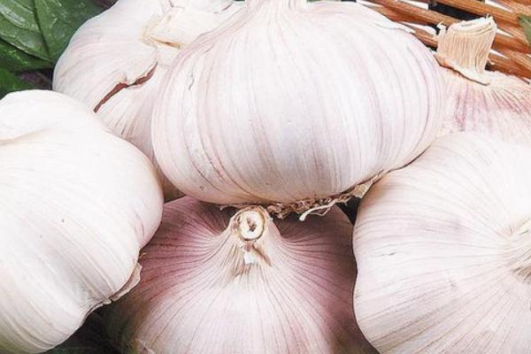 金鄉(xiāng)大蒜價(jià)格多少錢一斤