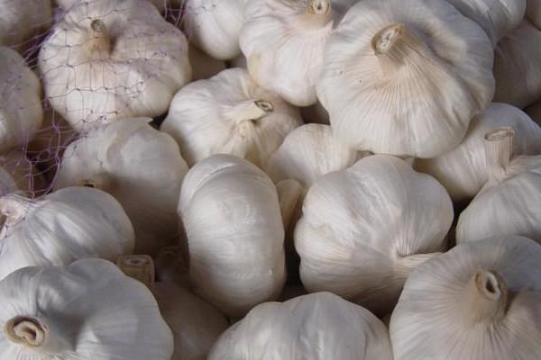 金鄉(xiāng)大蒜價(jià)格多少錢一斤