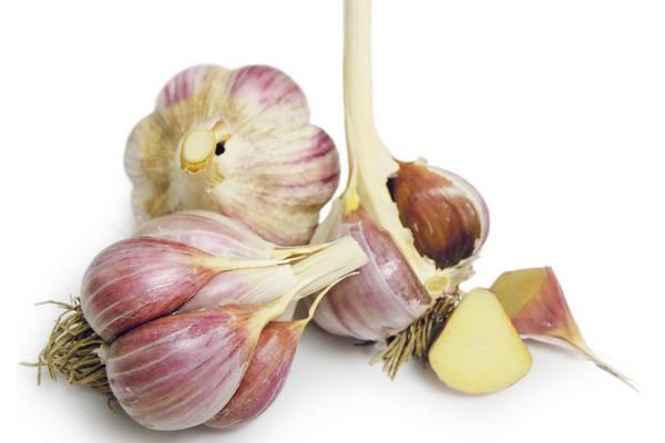 大蒜價格多少錢一斤