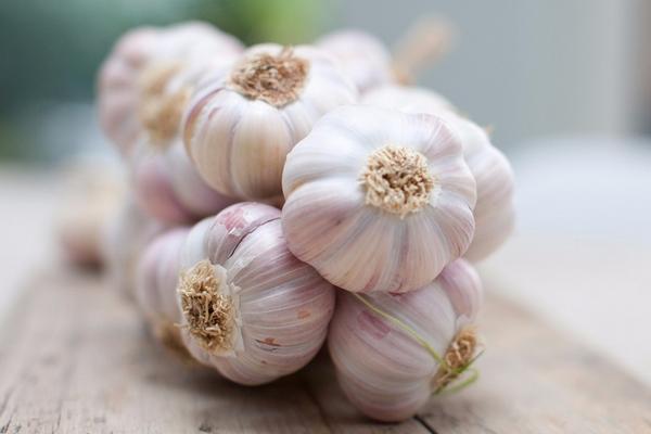 大蒜價格多少錢一斤