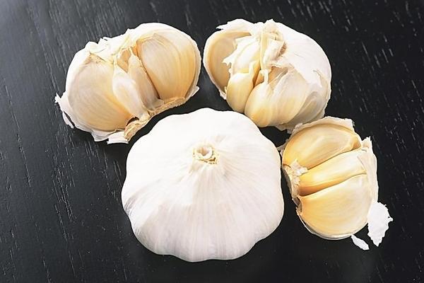 大蒜價格多少錢一斤