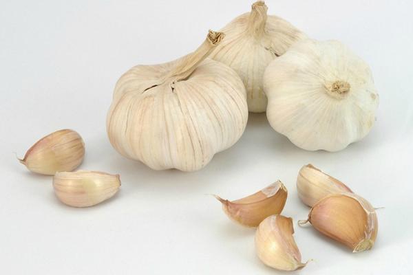 大蒜價格多少錢一斤