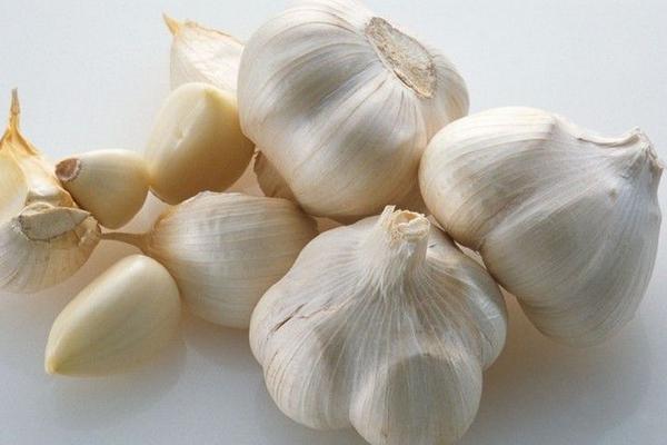 大蒜畝產多少斤