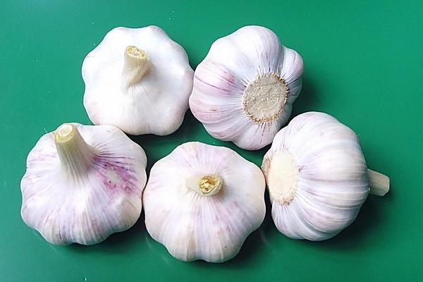 大蒜畝產多少斤