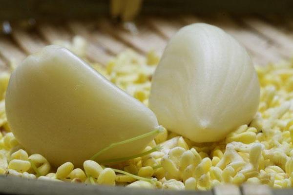 生吃大蒜有什么好處