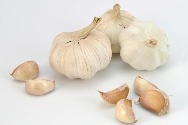 大蒜的功效與作用及禁忌