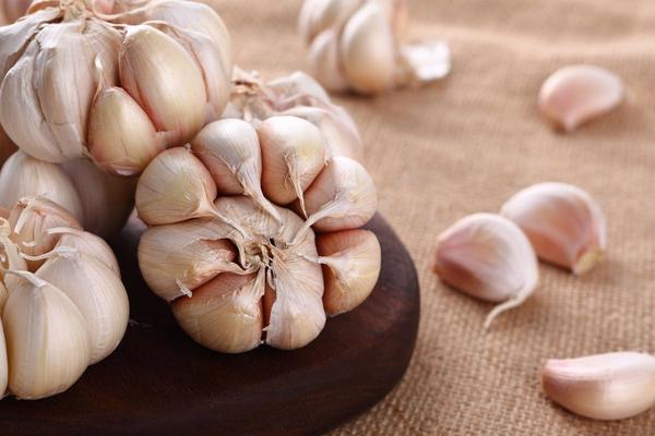  大蒜價格多少錢一斤