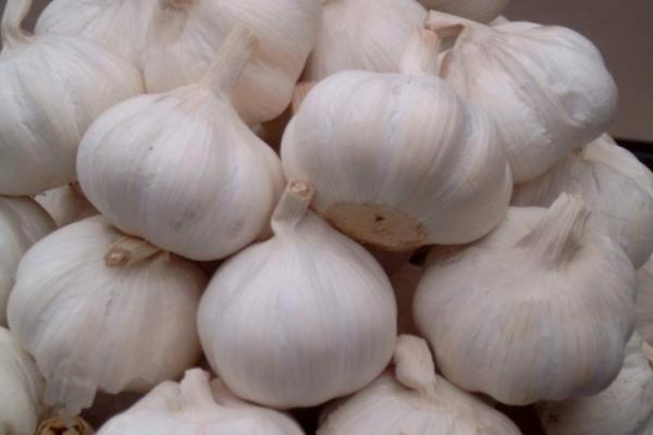 大蒜過敏的癥狀有哪些