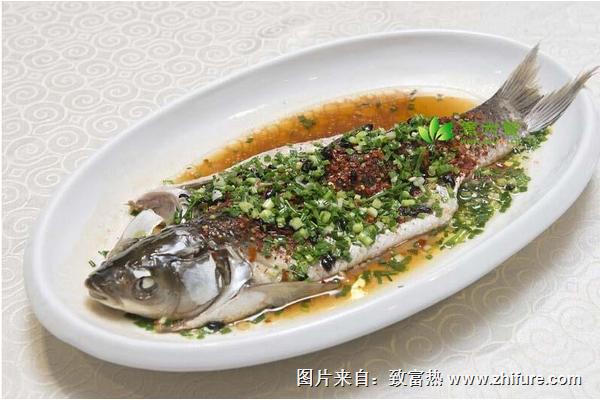 草魚的家常做法大全