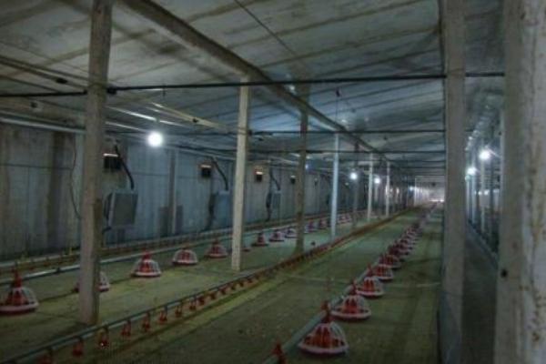 蛋雞養(yǎng)殖自動(dòng)設(shè)備有哪些