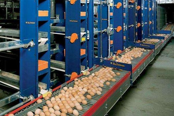 蛋雞養(yǎng)殖自動(dòng)設(shè)備有哪些