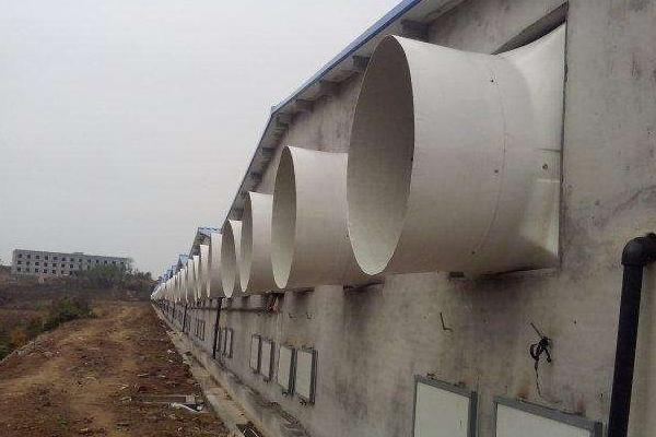 蛋雞養(yǎng)殖自動(dòng)設(shè)備有哪些