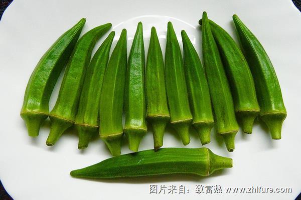 秋葵圖片大全
