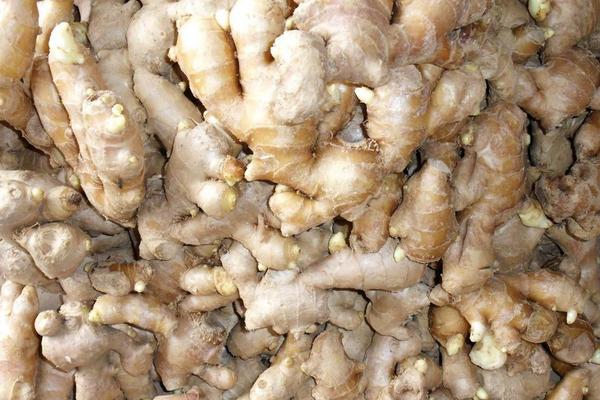 2018種生姜賺錢嗎?生姜種植的利潤與投資成本及前景預測