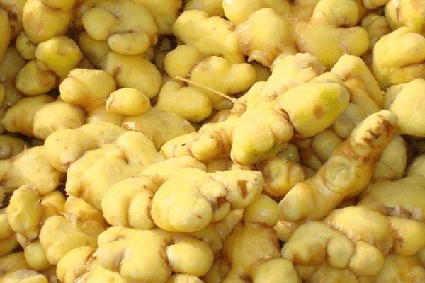 2018種生姜賺錢嗎?生姜種植的利潤與投資成本及前景預測