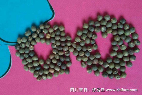 黃秋葵種子價格多少錢一斤