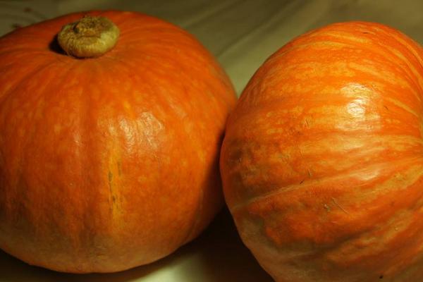 2018種南瓜賺錢嗎?南瓜種植的利潤與投資成本及前景預測