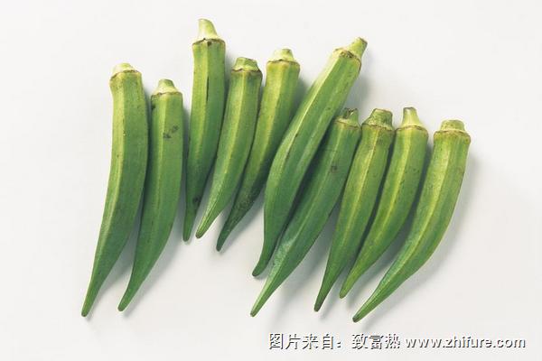 黃秋葵圖片大全