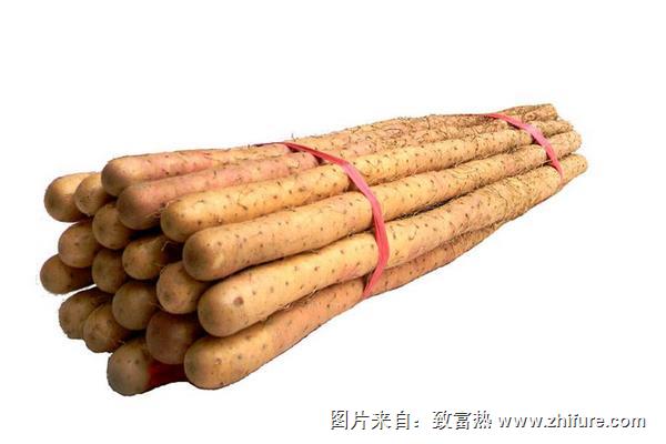 鐵棍山藥不能和什么一起吃