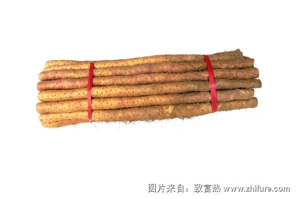 鐵棍山藥產地在哪里