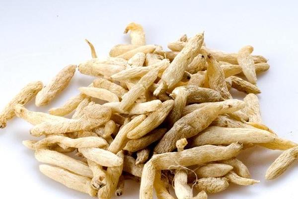 麥冬栽培的四大病害防治