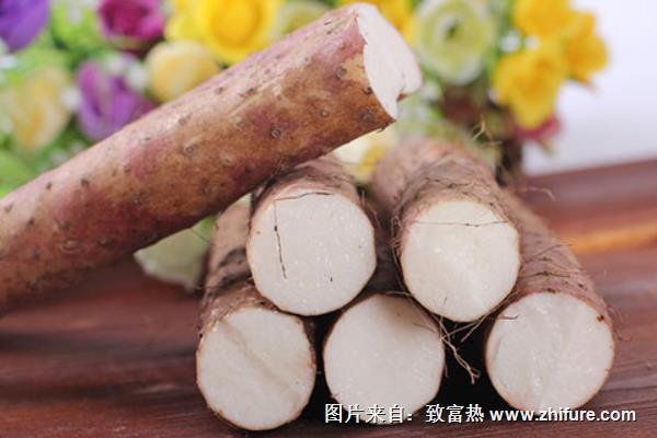 淮山藥和鐵棍山藥的區別是什么