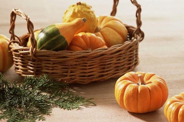 淮山藥和鐵棍山藥的區(qū)別是什么