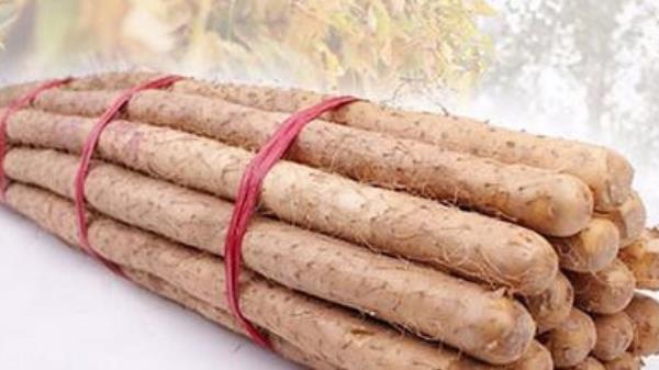 鐵棍山藥蒸多久能熟