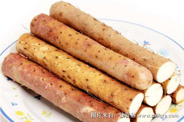 鐵棍山藥發(fā)芽還能吃嗎