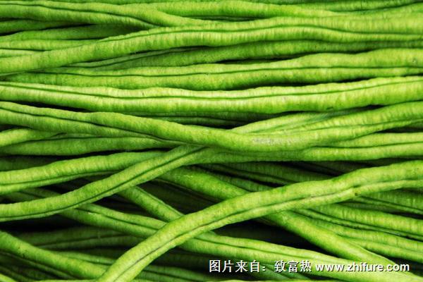 2018種豇豆賺錢嗎？豇豆種植的利潤與投資成本及前景預測