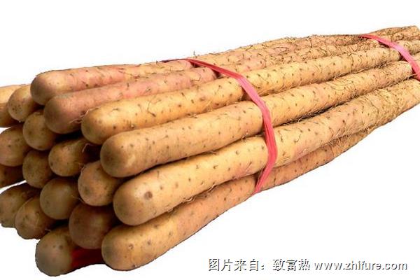 鐵棍山藥怎么保存