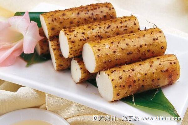 挑選鐵棍山藥的方法