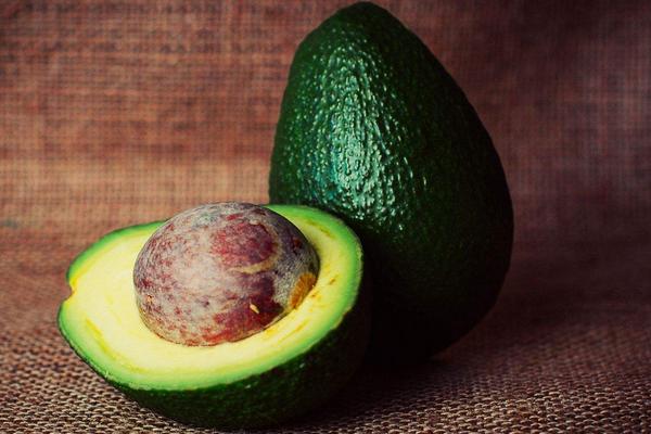 狗吃洋蔥會怎樣