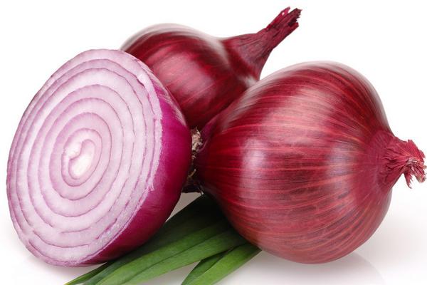 狗吃洋蔥怎么辦