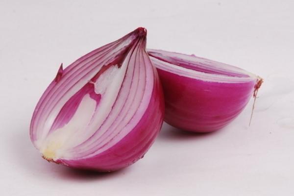 狗吃洋蔥怎么辦