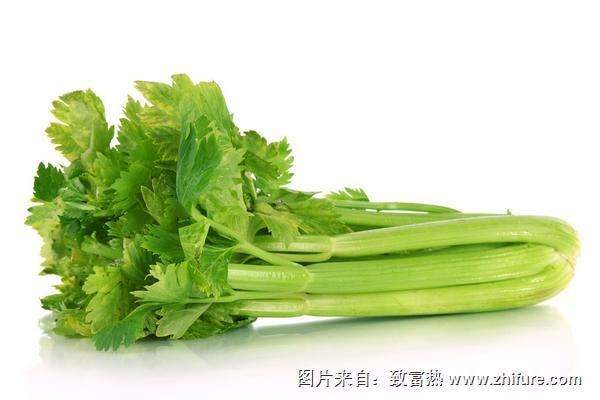 2018種芹菜賺錢嗎？芹菜種植的利潤與投資成本及前景預測