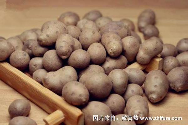 山藥豆補(bǔ)腎嗎