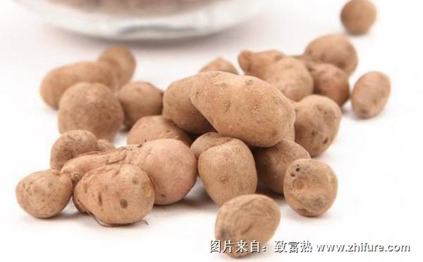 山藥和山藥豆哪個好