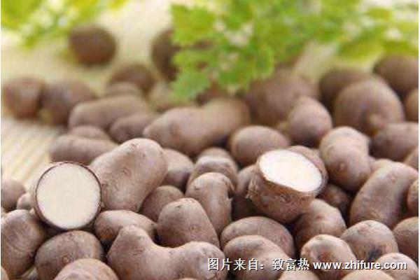 山藥豆與山藥的區(qū)別是什么