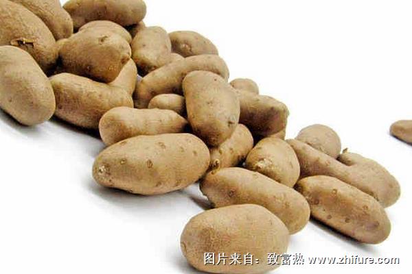 山藥豆發(fā)芽了還能吃嗎