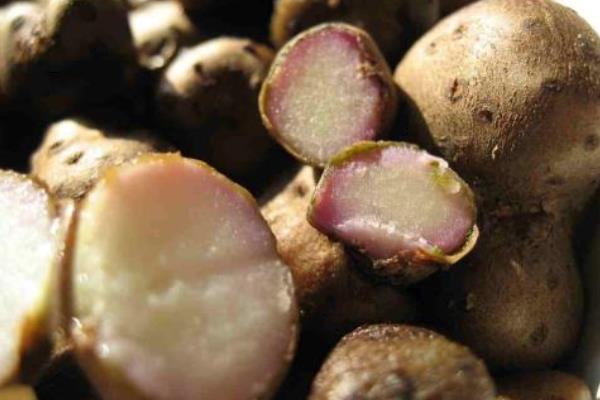 山藥豆的皮可以吃嗎