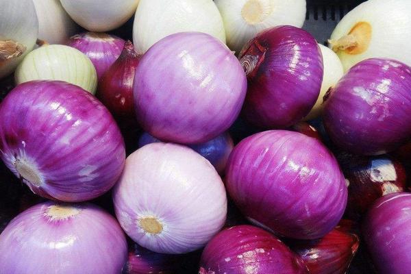 洋蔥價(jià)格多少錢一斤