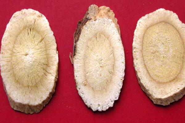 黃芪種子什么時候發(fā)芽出苗比較好？