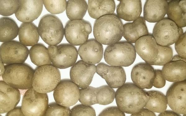 山藥豆的皮可以吃嗎