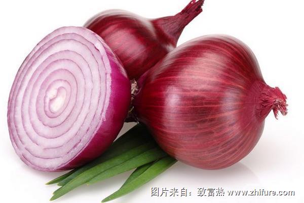 洋蔥圖片大全