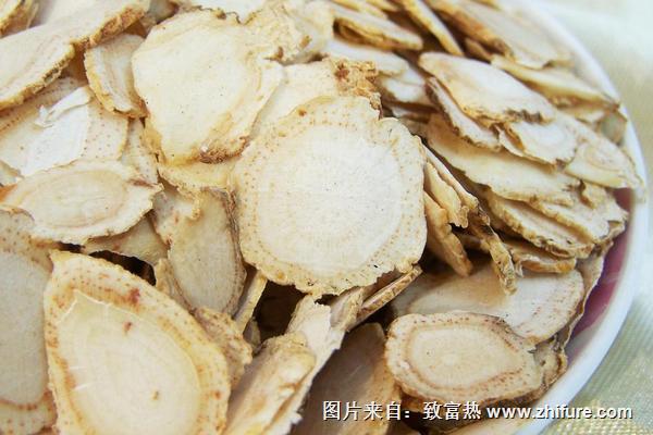 2018種西洋參賺錢嗎？西洋參種植的利潤與投資成本及前景預測