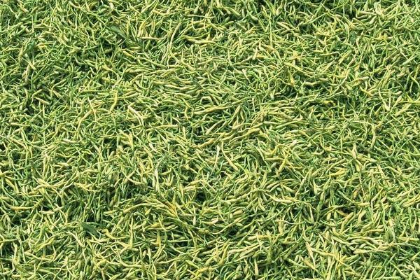 2018種金銀花賺錢嗎？金銀花種植的利潤與投資成本及前景預測