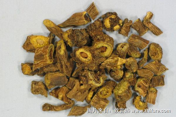 2018種黃岑賺錢嗎？黃岑種植的利潤與投資成本及前景預測