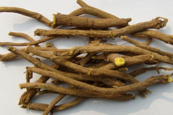 2018種黃岑賺錢嗎？黃岑種植的利潤與投資成本及前景預測