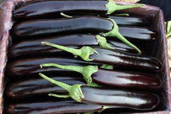 正宗的紅燒茄子怎么做